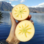 鲁禧丑苹果 糖心苹果 2斤装