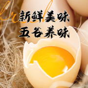 故乡食召 初生鲜鸡蛋 12枚装