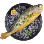 海名威 冷冻黄花鱼600g/条 大黄鱼 深海鱼 生鲜 鱼类 海鲜水产