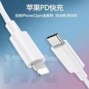 驯龙师 PD20W充电器+认证充电线 1m