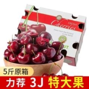 本来果坊 智利进口新鲜车厘子5斤原箱礼盒2/3/4J脆甜大樱桃应季水果大果JJJ