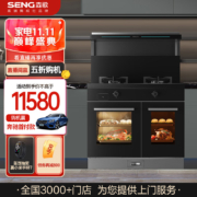 森歌（SENG）T3SZK-G 蒸烤一体独立蒸烤箱集成灶一体灶 蒸箱烤箱集成灶抽油烟机一体机套装 天然气左排烟