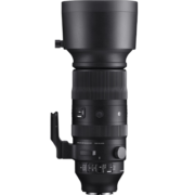 适马（SIGMA）60-600mm F4.5-6.3 DG DN OS｜Sports 全画幅微单 超远摄变焦镜头 人像打鸟（索尼E口）