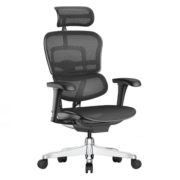 保友办公家具（Ergonor） 金豪b 2代 人体工学椅 电脑椅 电竞椅 办公椅子 老板椅可躺座椅 黑色网(Q3.0)