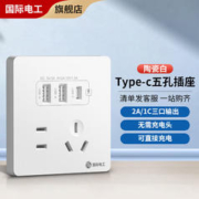fdd 国际电工 Type-C插座面板20W五孔带USB苹果手机快充PD插座86型暗装墙壁家用 五孔2.1A双USB+type-c