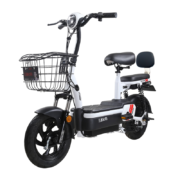 百亿补贴：ZUB 五星钻豹 A4 电动自行车 TDT20Z 48V20Ah铅酸电池 星辰白