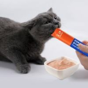 盒边 鲜肉猫条10支/包*3件
