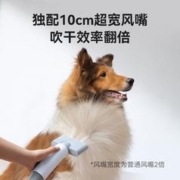 Homerun 霍曼 宠物智能吹水机 狗狗猫咪吹风机大风力低噪大功率洗澡吹干毛发 霍曼宠物吹水机