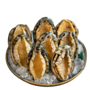 江船长 冷冻大鲍鱼 400g 10粒袋装 火锅食材 烧烤煲汤 冷冻海鲜 生鲜