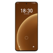 Meizu魅族 20PRO朝阳金 12+256GB