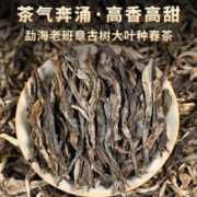 勐洛小寨 2023年老班章普洱茶散茶布朗山古树茶春茶云南勐海生普茶叶 买一次喝半年 1000克