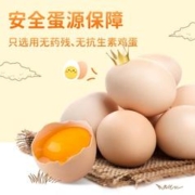 盐津铺子 卤蛋鸡蛋无壳茶叶蛋五香解馋泡面搭档夜宵零食休闲食品