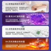 CHANGHONG 长虹 烘鞋器干鞋器专业除臭杀菌家用成人烘干机哄鞋子烤鞋暖鞋神器