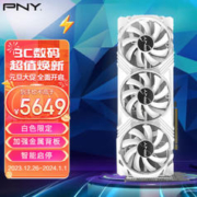 PNY 必恩威 GeForce RTX4070Ti 12GB Gaming VERTO LED 白色限