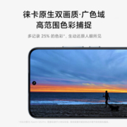 小米13 徕卡光学镜头 第二代骁龙8处理器 120Hz高刷 67W快充 旷野绿 12GB+256GB