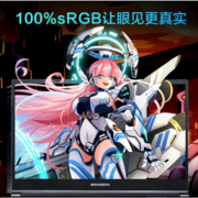 机械革命（MECHREVO） 极光Pro/E 2023年新款满血4060 4070发烧级