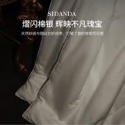 29日20点：SIDANDA 诗丹娜 奢华银缎 蚕丝四季被 220x240cm