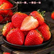风之郁 露天红颜草莓 单果15-20彩箱装