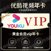 YOUKU 优酷 会员年卡 12个月