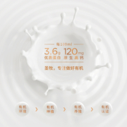 圣牧有机纯牛奶 挚醇250ml*12 高端礼盒装 3.6g优质乳蛋白