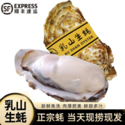 帆货乳山精品生蚝鲜活特大牡蛎 山东地标产品 新鲜海蛎子 乳山精选生蚝  5斤装 大蚝12个左右  净重4斤