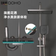 皇琥 德国皇琥沐浴花洒套装全套纯全铜枪灰色奶白色钢琴按键氛围灯增压