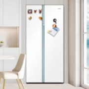 预售、PLUS会员：Haier 海尔 白巧系列 561L 电冰箱家用 一级能效 超薄零嵌入式 BCD-561WLHSS14W9U1