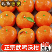 ZOCI 广西武鸣当季沃柑 甄品沃柑9斤装