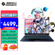 机械革命极光Pro/极光Z