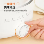 九阳（Joyoung）电蒸锅大容量家用蒸锅电煮锅电火锅多功能蒸箱电多层蒸笼多用途锅蒸煮一体蒸汽锅电子触控早餐机 GZ198【两层不锈钢蒸格】