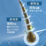 88VIP会员：ZOOLY 卓蓝雅 生姜洗发水防脱育发400ml*3瓶植物萃取强根健发