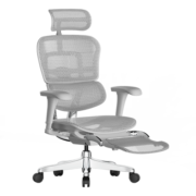 保友办公家具（Ergonor） 金豪b 2代 人体工学椅 电脑椅 电竞椅 办公椅子 老板椅可躺座椅 银白网(Q3.0)+躺舒宝