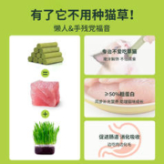 零咖 猫草棒冻干猫咪零食化毛球排毛幼猫成猫口腔洁齿棒即食宠物磨牙棒