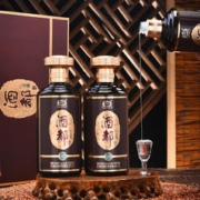 GUOTAI 国台 酒都宗酱53度500ml*2礼盒装酱香型白酒年份酒送礼宴会迎宾酒