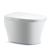 飞利浦（PHILIPS）智能马桶 抗菌恒温加热座圈 离坐自动冲水坐便器AIB6307/93
