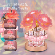 礼遇季：DUOFAN 朵帆 永生花摆件 圣诞礼物 氛围灯