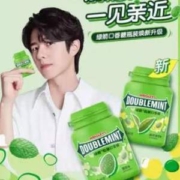 绿箭 绿茶薄荷口香糖 40粒*4瓶装新低19.9元包邮