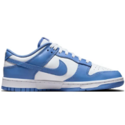 NIKE 耐克 男子板鞋缓震 DUNK LOW 运动鞋休闲鞋 DD1391-100