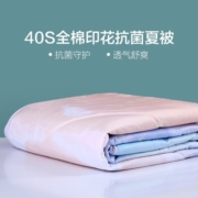 百丽丝空调被芯纯棉夏被子全棉可水洗夏薄被 夏季夏凉被芯双人太空被褥