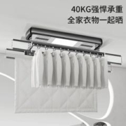 华慕 电动晾衣架智能遥控壁控二选一自动升降阳台照明消毒烘干晒衣架 典雅黑（四杆+9横杆） 照明+遥控升降