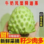甜艾妮 牛奶凤梨释迦果 7.5-8斤礼盒装 大果（单果6-7两）