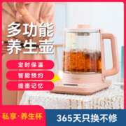 生活元素 养生壶家用多功能煮茶壶烧水壶保温办公室花茶壶煮茶器电热水壶