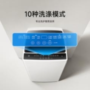 MIJIA 米家 小米米家洗衣机8公斤小型全自动波轮租房宿舍家用大容量洗脱一体