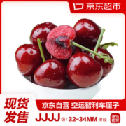 再降价：京东超市 智利进口车厘子4J级 450g装