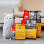 Orijen 渴望 原始猎食渴望（ORIJEN）全阶段猫主粮 冠军标/美版橘猫1.8kg