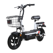 9日20点：ZUB 五星钻豹 电动车A4plus 新国标电动车 48V20ah