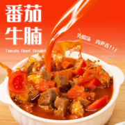 海皇御品 番茄牛腩500g加热即食预制菜 半成品快手菜 方便食品速食 番茄牛腩500g