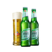 京东PLUS：青岛啤酒 纯生8度316ml*24瓶【肖战同款】赠送开瓶器+苏打水380ml*6瓶