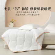 京东PLUS：BLISS 百丽丝 A类磨毛七孔抗菌冬被 150*210cm