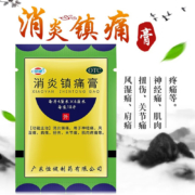 恒健 消炎镇痛膏贴膏 10片/袋 关节肌肉疼痛风湿骨痛扭伤神经